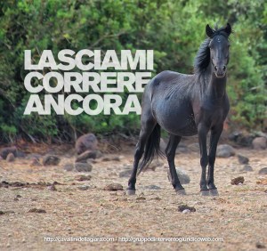 SOS Cavallini della Giara